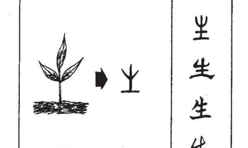 产后手指关节变大、产后手指发胀发紧绷 -产后九个月手指头变形网